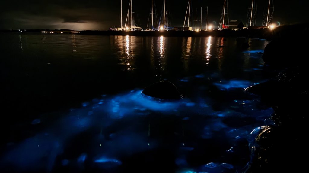 Venø - Brandung südlich des Hafens mit Morild