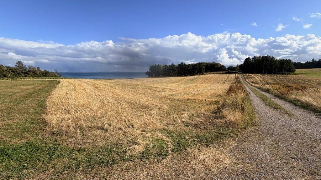 Venø - Feld- und Waldlandschaft