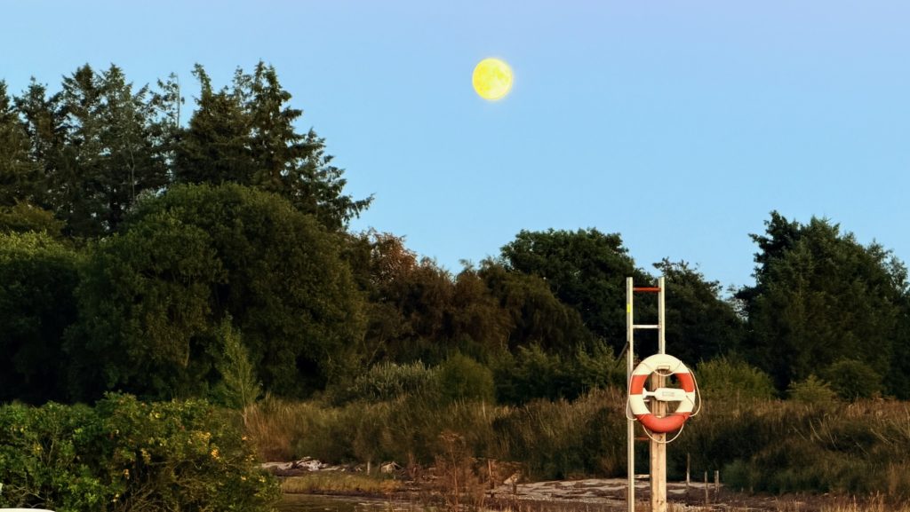 Mou: Vollmond