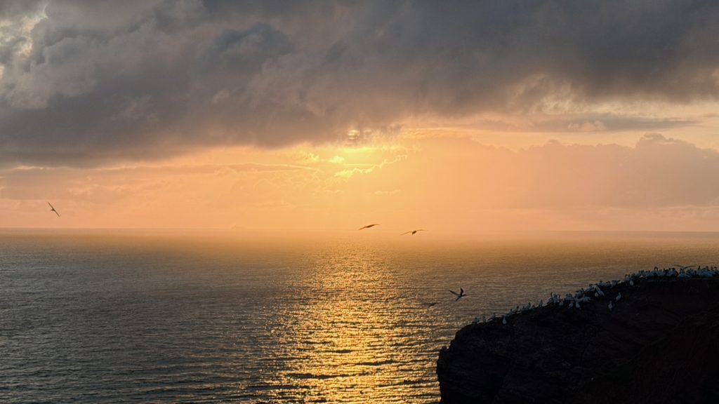 Helgoland: Abendstimmung am Lummenfelsen